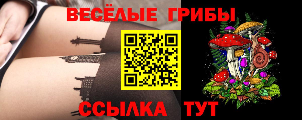 купить наркотики цена  Вход с VPN  Медногорск  Галлюциногенные грибы Cubensis 
